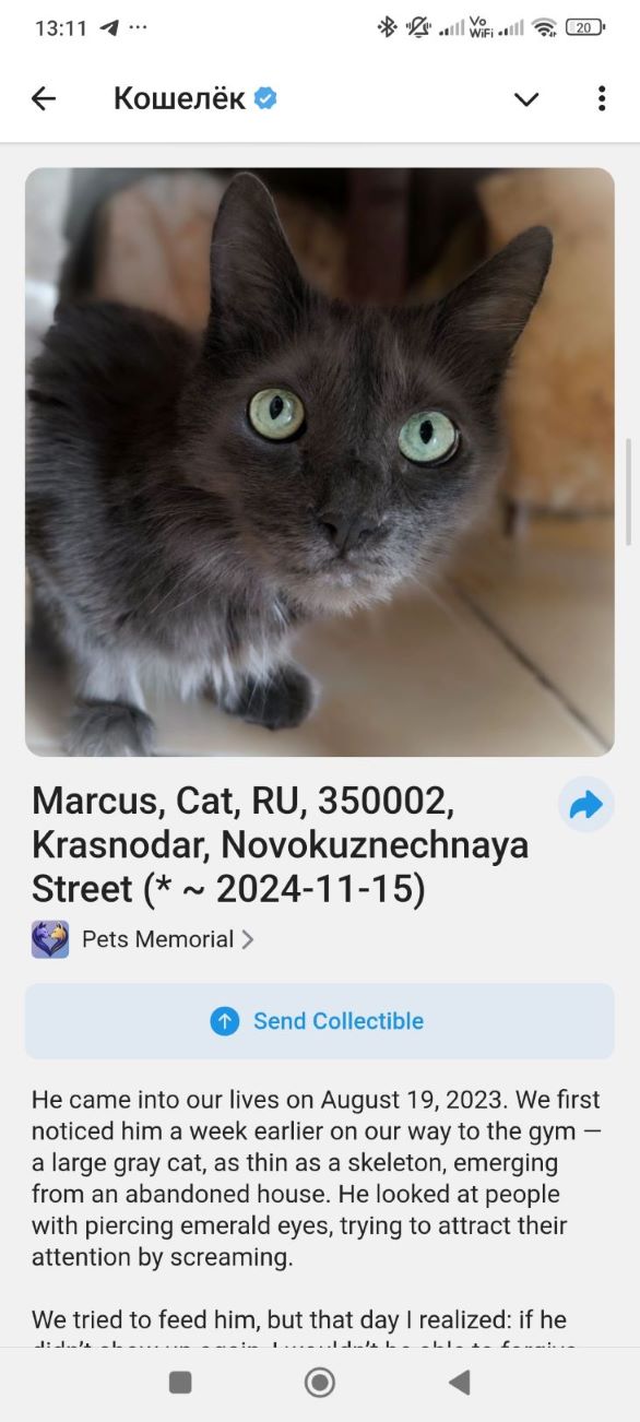 Memorial NFT displayed in a wallet