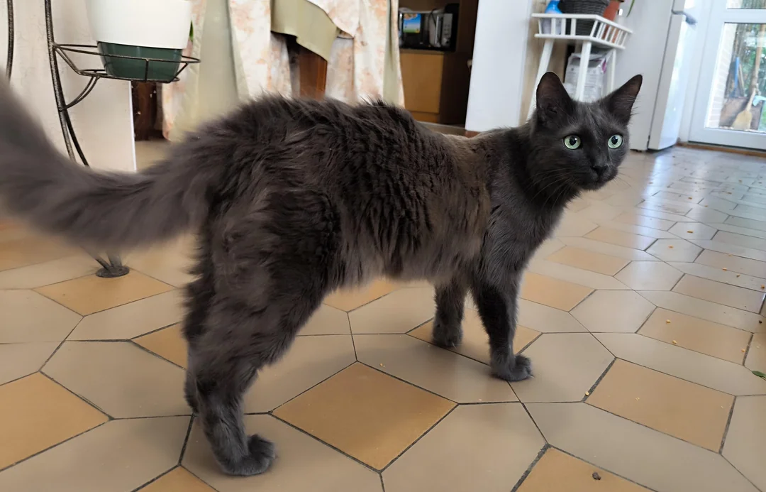 Here he’s in relatively good shape, almost a year later — around 4 kg