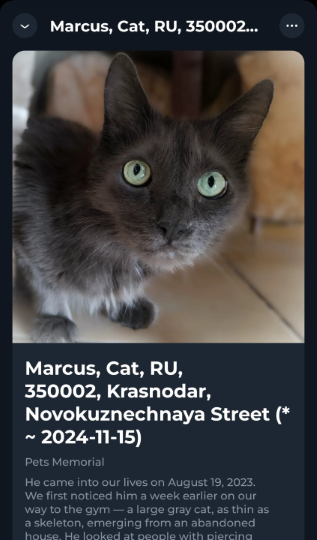 Viewing NFT in Tonkeeper Wallet